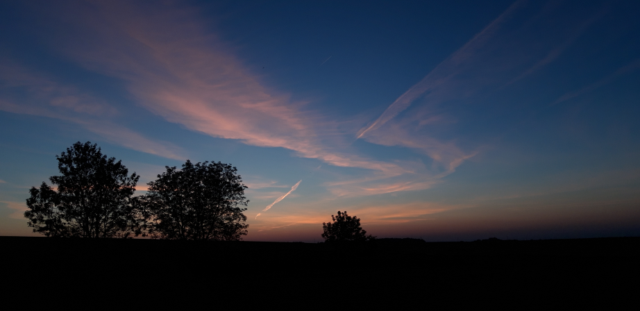 images/actualites/nouvelle1_0001.webp